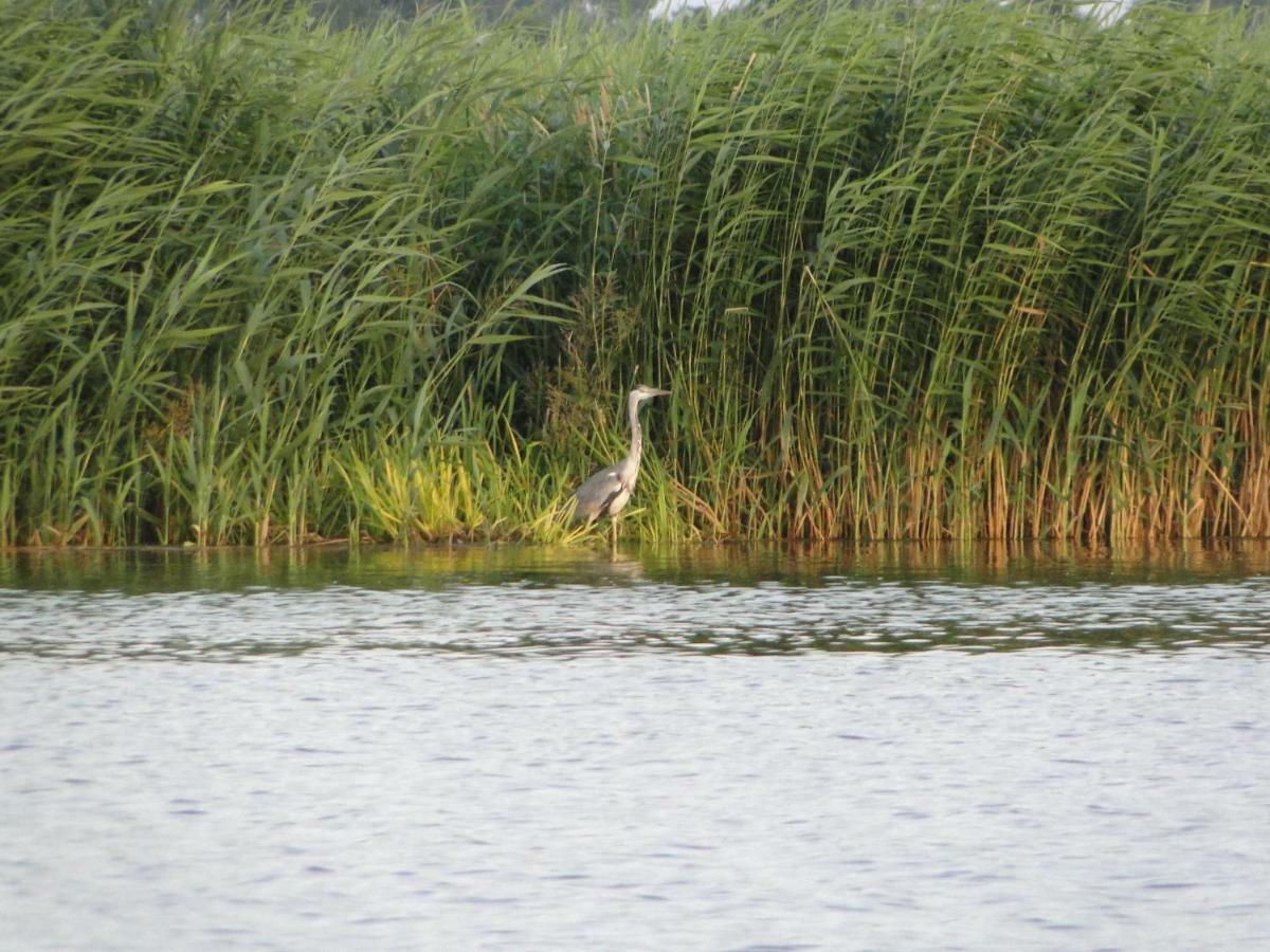 Zacisze Domki Letniskowe Karsibor Swinoujscie Bagian luar foto