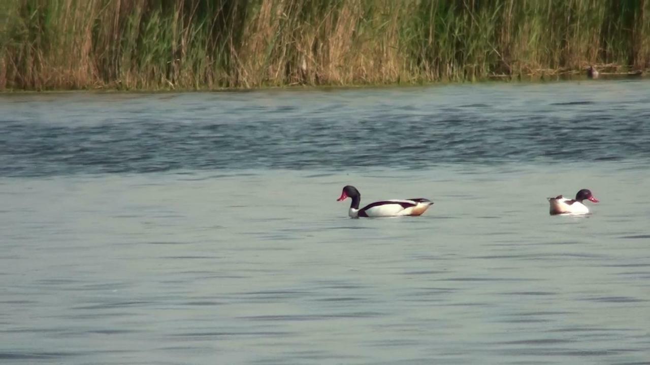 Zacisze Domki Letniskowe Karsibor Swinoujscie Bagian luar foto