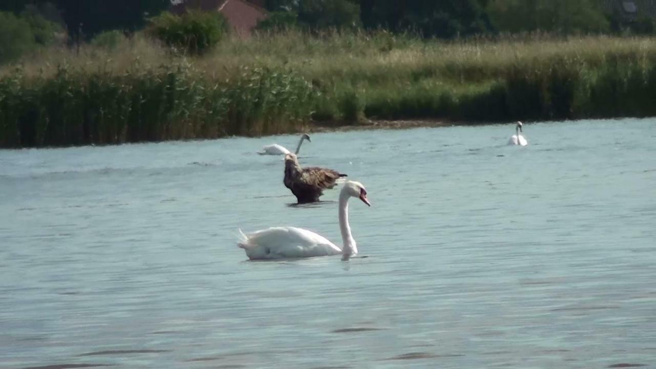 Zacisze Domki Letniskowe Karsibor Swinoujscie Bagian luar foto