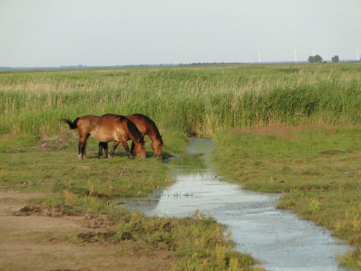 Zacisze Domki Letniskowe Karsibor Swinoujscie Bagian luar foto