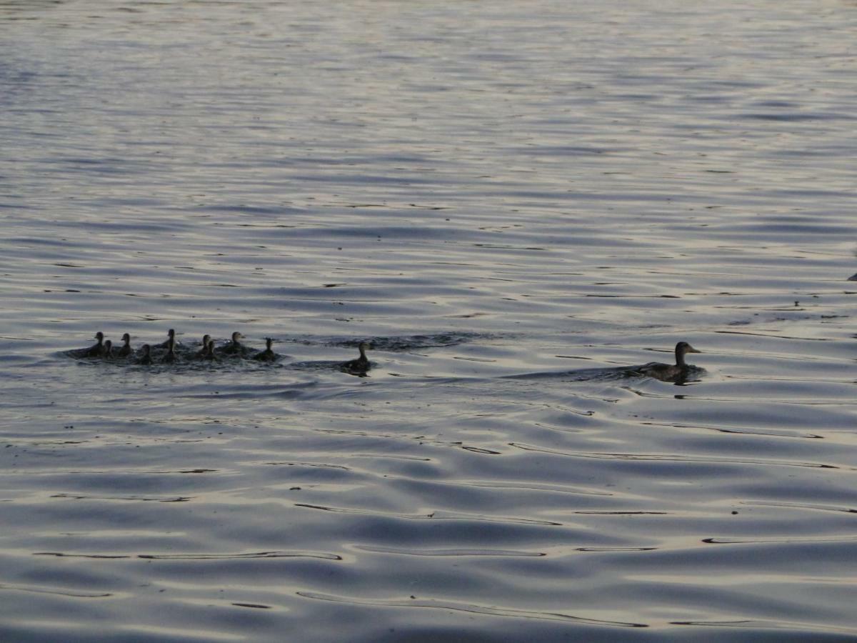 Zacisze Domki Letniskowe Karsibor Swinoujscie Bagian luar foto
