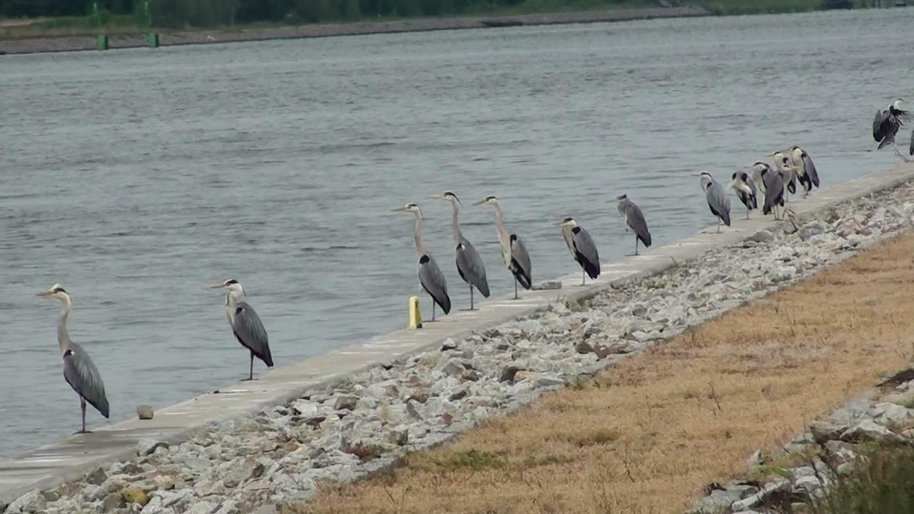 Zacisze Domki Letniskowe Karsibor Swinoujscie Bagian luar foto